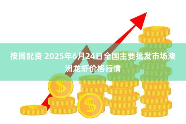 按周配资 2025年6月24日全国主要批发市场澳洲龙虾价格行情