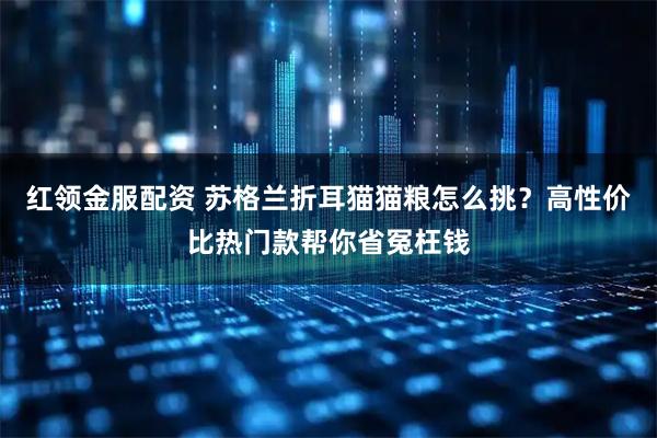 红领金服配资 苏格兰折耳猫猫粮怎么挑？高性价比热门款帮你省冤枉钱