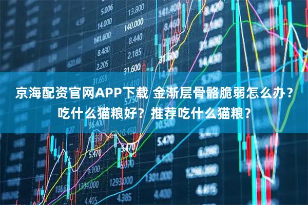 京海配资官网APP下载 金渐层骨骼脆弱怎么办？吃什么猫粮好？推荐吃什么猫粮？