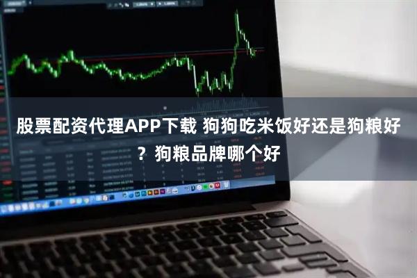 股票配资代理APP下载 狗狗吃米饭好还是狗粮好？狗粮品牌哪个好
