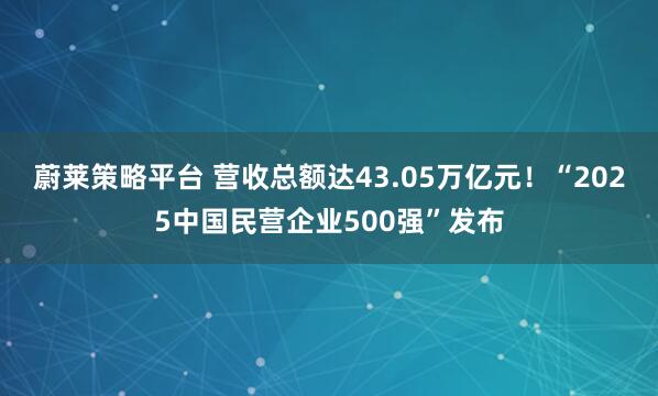 蔚莱策略平台 营收总额达43.05万亿元！“2025中国民营企业500强”发布