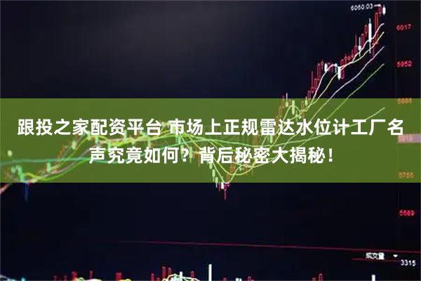 跟投之家配资平台 市场上正规雷达水位计工厂名声究竟如何？背后秘密大揭秘！